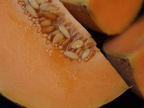 Melone Cantalupo: frutto estivo dalle tante proprietà benefiche