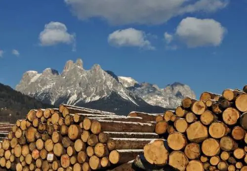 Borsa italiana del legno, siglato il primo contratto