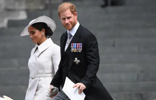 "Dettagli privati e succulenti": il piano di Harry