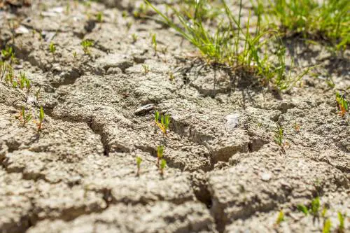 Siccità, ora la sfida sono i dissalatori