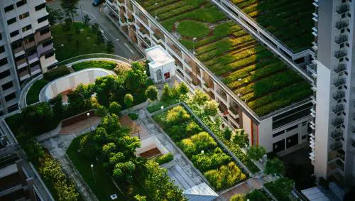 Ecco come la copertura vegetale farà risparmiare sul condizionatore