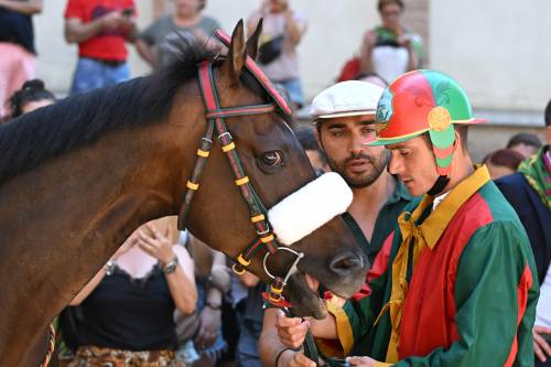 "Portato via in barella". Paura al palio di Siena