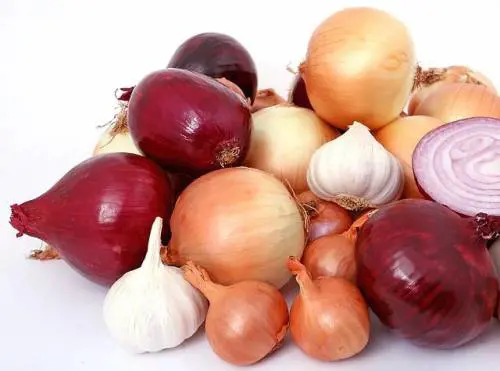 Cipolle, proprietà e benefici inaspettati