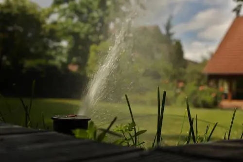 Tra virus e afa un'estate da dimenticare