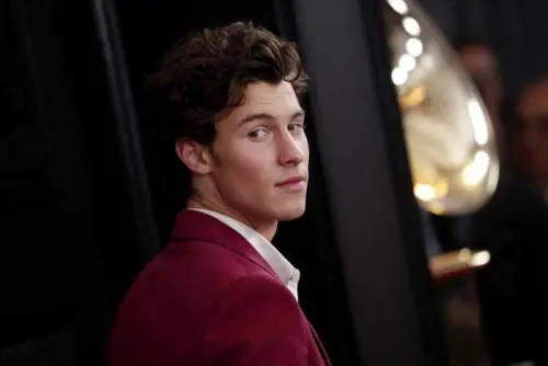 Shawn Mendes sospende il tour: "Sto male"
