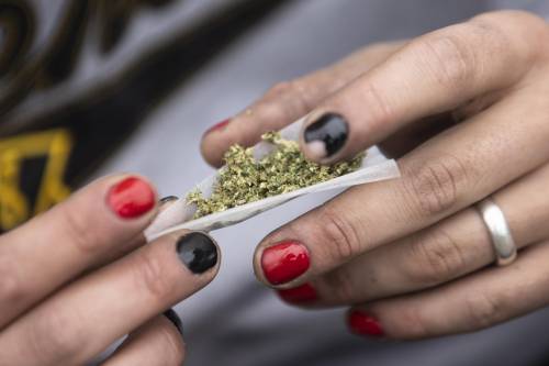 Offre cannabis agli studenti minorenni: nei guai una professoressa