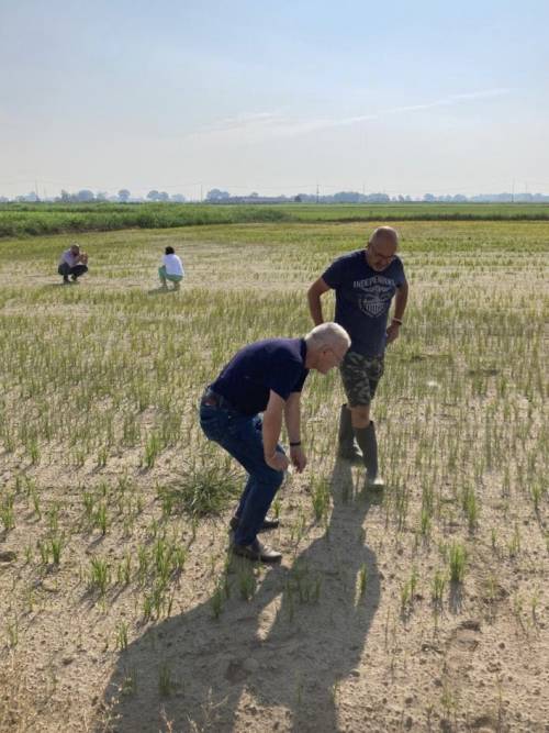 Scorte finite e zero neve ora siamo agli sgoccioli: "Acqua fino al 25 luglio"