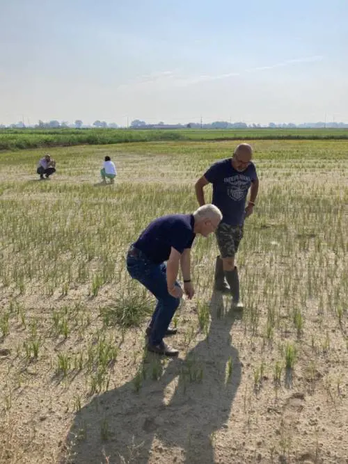 Scorte finite e zero neve ora siamo agli sgoccioli: "Acqua fino al 25 luglio"