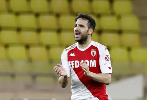 Como, più di un "promesso sposo". Ecco il campione del mondo Fabregas