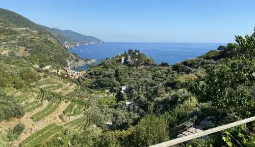 Il vino "sciacchetrà" vola in orbita per combattere le malattie neurovegetative 