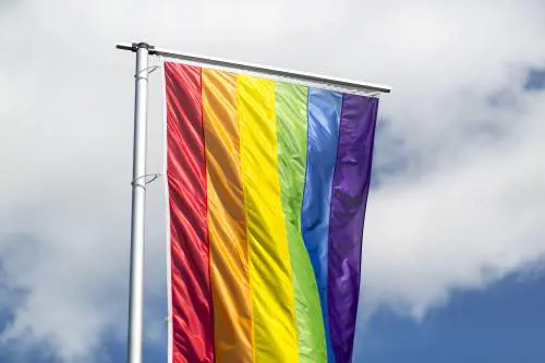 L'Ue dice sì ai genitori gay. I movimenti pro vita: "Impone l'utero in affitto"