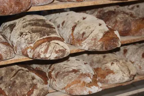 Pizzo ai panettieri per pagare le famiglie dei detenuti: nei guai sei persone