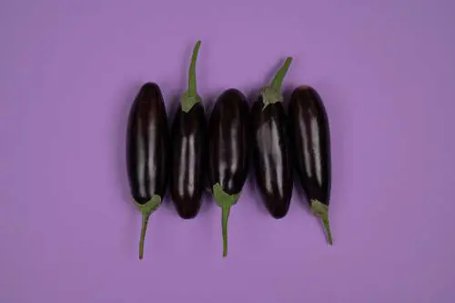 Le melanzane, l'isolamento linguistico e le varianti: sua maestà la caponata siciliana
