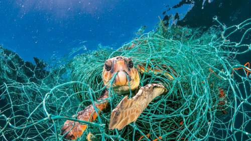 Mari e oceani invasi dalla plastica: le foto di National Geographic