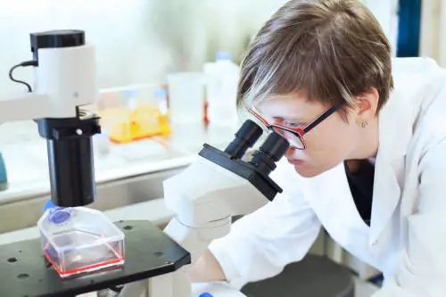 Batteri contro l'inquinamento biologico: la "rivoluzione" targata Gibabiospor