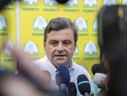 Lo squalo, il simbolo e la sigla: i tatuaggi "nascosti" di Calenda