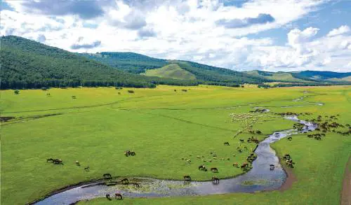 Cambiamenti innovativi per la tutela dell'ambiente