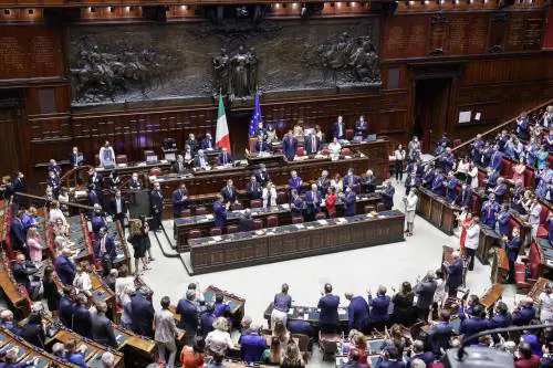 Il Bestiario, il Sedivendolo