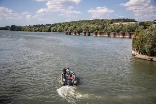 È morto il beluga intrappolato nella Senna. "Troppo debole, gli abbiamo fatto l'eutanasia"