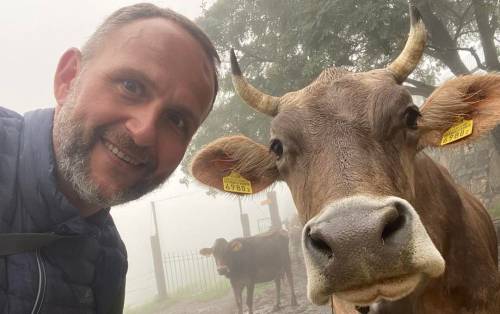 "Ditelo al povero bovino...". L'ira di Sgarbi contro la multa svizzera