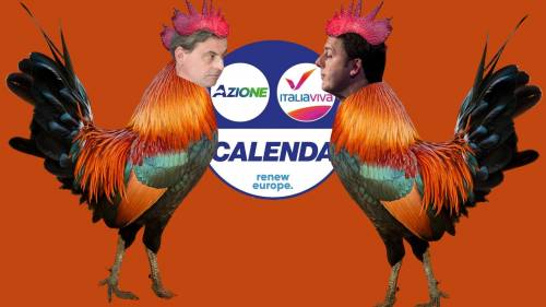Renzi-Calenda patto dei polli, il minibus di Letta e Bettini: quindi, oggi...