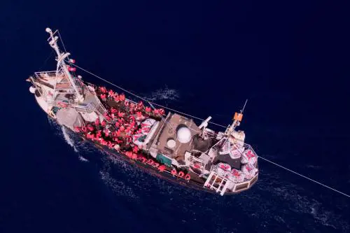 Nessuno ferma più le Ong. Superati i 50mila sbarchi