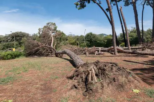 "Violento e improvviso": cosa succederà al clima in autunno