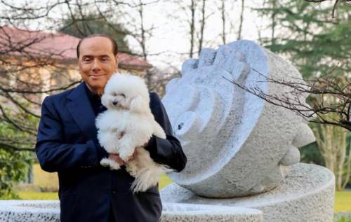 "Tutelare cani e gatti". Berlusconi sposa la causa animalista