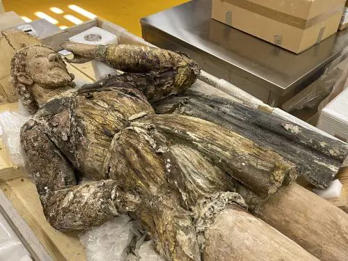 Gli ospedali dell'arte ferita