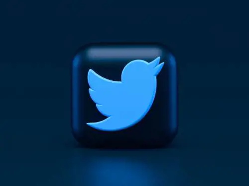 Parte "l'abbonamento" per Twitter: come funziona l'idea di Musk 