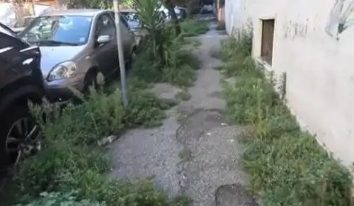 L’ennesima promessa di Gualtieri: “Entro 30 giorni via le erbacce dai marciapiedi”