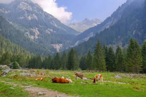 Over, passeggiare nei boschi in Lombardia, le mete più interessanti