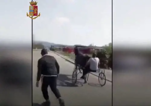 Corse clandestine, estorsione, spaccio: gli affari sporchi della banda rom