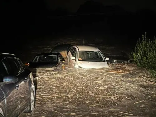Gli alberi, la mancata allerta, la pioggia record: così è esploso l’inferno