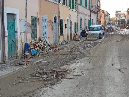Trovato lo zainetto di Mattia: "Una stilettata". Doppia indagine su allerta e sicurezza del Misa
