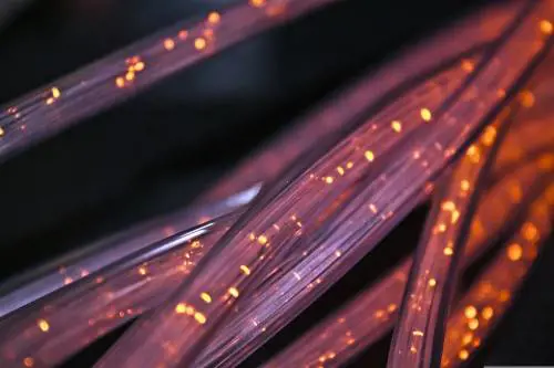 L'allarme dei provider: "Oscurano internet". Ma la verità sui razionamenti è un'altra