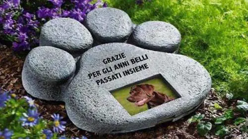 Approvato il progetto di legge per i cimiteri per gli animali