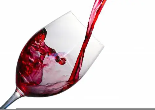 Vini delle Marche. Alla scoperta di 5 etichette