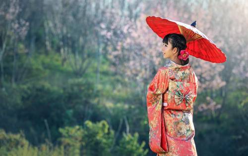 Ikigai, il metodo giapponese per trovare la felicità