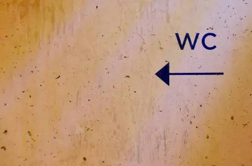 Over, i 5 migliori alzawater adatti a tutte le esigenze