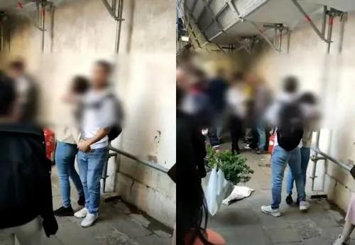 Rom cerca di derubare un turista: bloccata con una mossa
