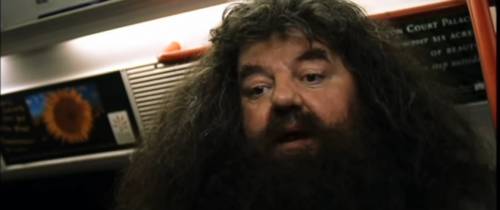 Morto Robbie Coltrane: addio all'Hagrid di Harry Potter