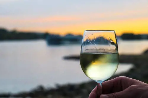 Vini bianchi piemontesi: le etichette più pregiate