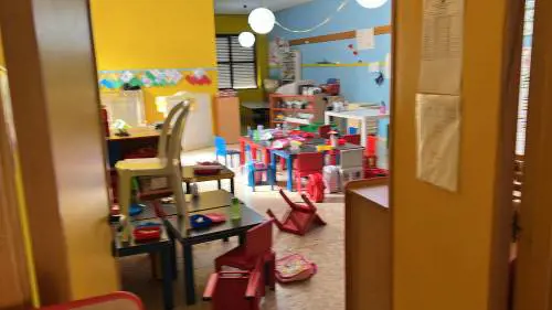 Cinghiali irrompono nell'asilo, paura per i bimbi salvati dalla maestra