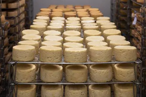 Micotossine nei formaggi grattugiati, ecco cosa accade adesso