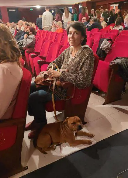 Va a teatro con il cane, ma c'è una (buona) ragione