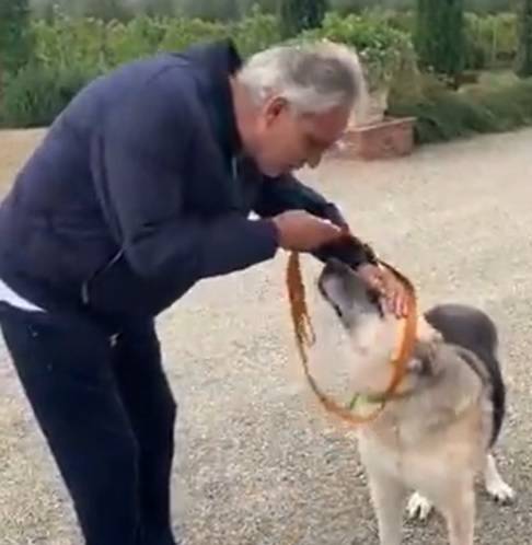 Andrea Bocelli adotta un cane sordo e ferito dalle bombe in Ucraina