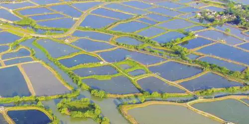 Così in Cina la conservazione del GHIAS promuove la rivitalizzazione delle campagne