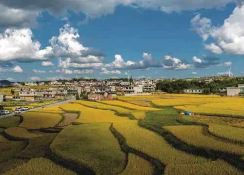 Saggezza cinese nei 24 termini solari
