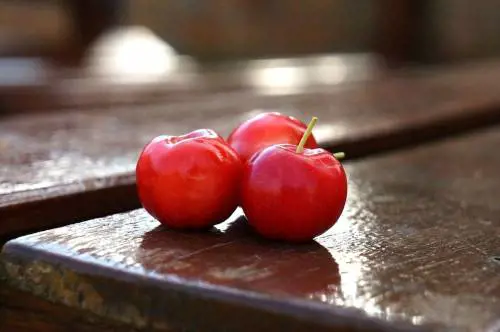 Acerola, la ciliegia tropicale che rafforza il sistema immunitario